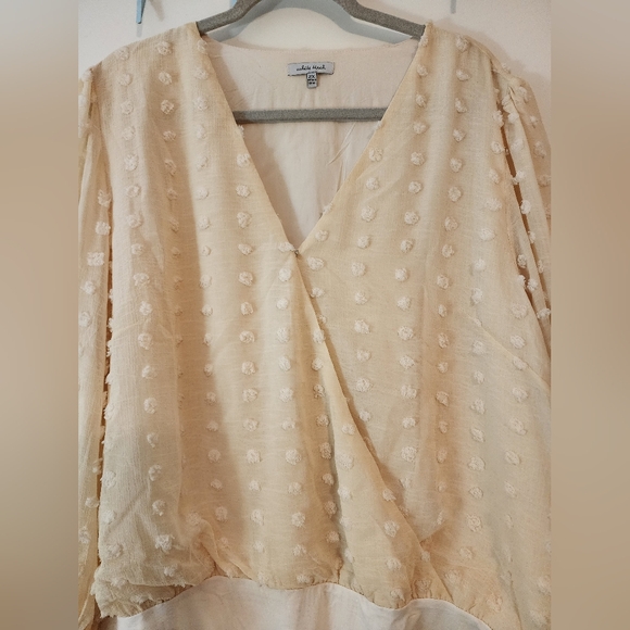 White Burch Cream Textured V-Neck Bodysuit Snap Crotch Romantic Victorian Sz 2X - Picture 4 of 10